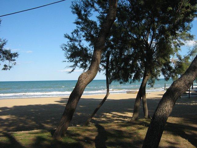 Hotel Corallo Pineto Ngoại thất bức ảnh